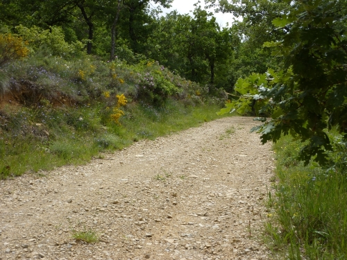 chemin_02