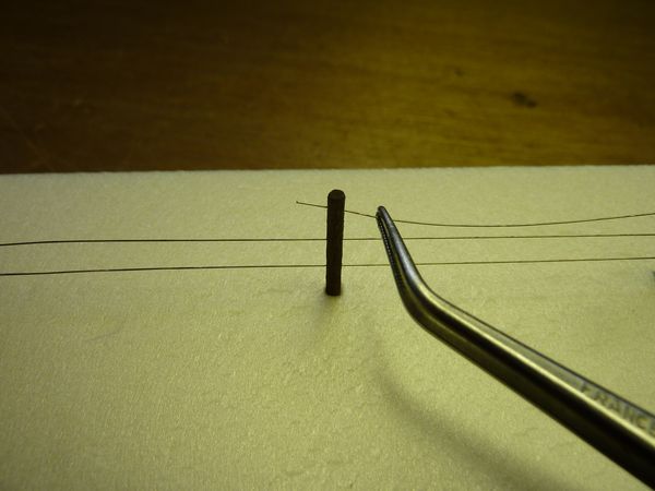 clotures_09